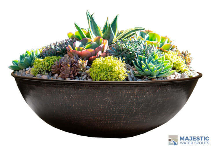 Copper Planter Bowl with Succulent Plant Arrangement