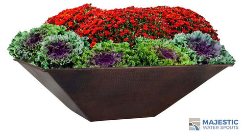 Modern Copper Square Planter with Plants